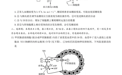 生物试卷（26长郡三）_251104湖南省长沙市长郡中学2026届高三上学期月考（三）（全科）_湖南省长沙市长郡中学2026届高三上学期月考（三）生物试题（含答案）