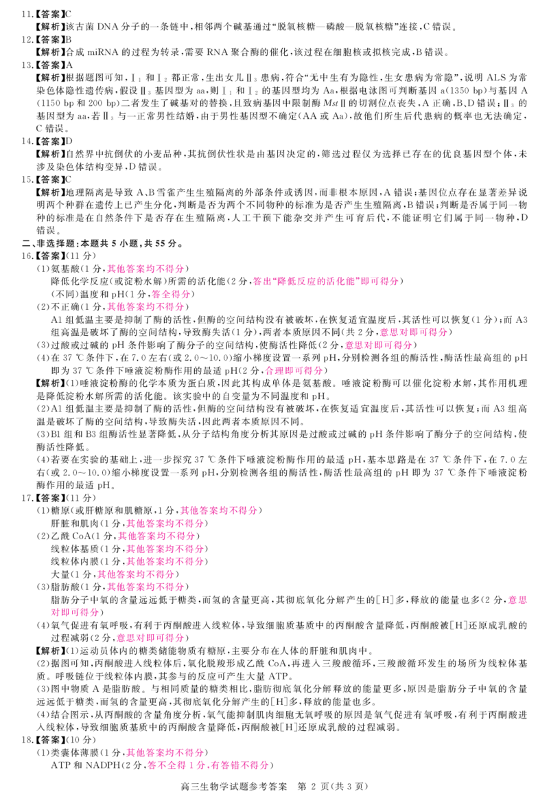 安徽省华师联盟2026届高三第一学期11月质量检测-生物答案_251115安徽省华师联盟2026届高三第一学期11月质量检测（全科）
