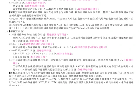 安徽省华师联盟2026届高三第一学期11月质量检测-生物答案_251115安徽省华师联盟2026届高三第一学期11月质量检测（全科）