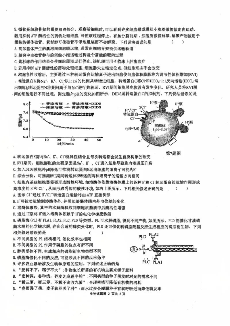 山东省莱州市第一中学2024-2025学年高二下学期期末全真训练测试生物PDF版含解析_2025年7月_250714山东省莱州市第一中学2024-2025学年高二下学期期末全真训练测试