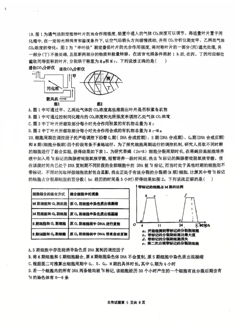 山东省莱州市第一中学2024-2025学年高二下学期期末全真训练测试生物PDF版含解析_2025年7月_250714山东省莱州市第一中学2024-2025学年高二下学期期末全真训练测试