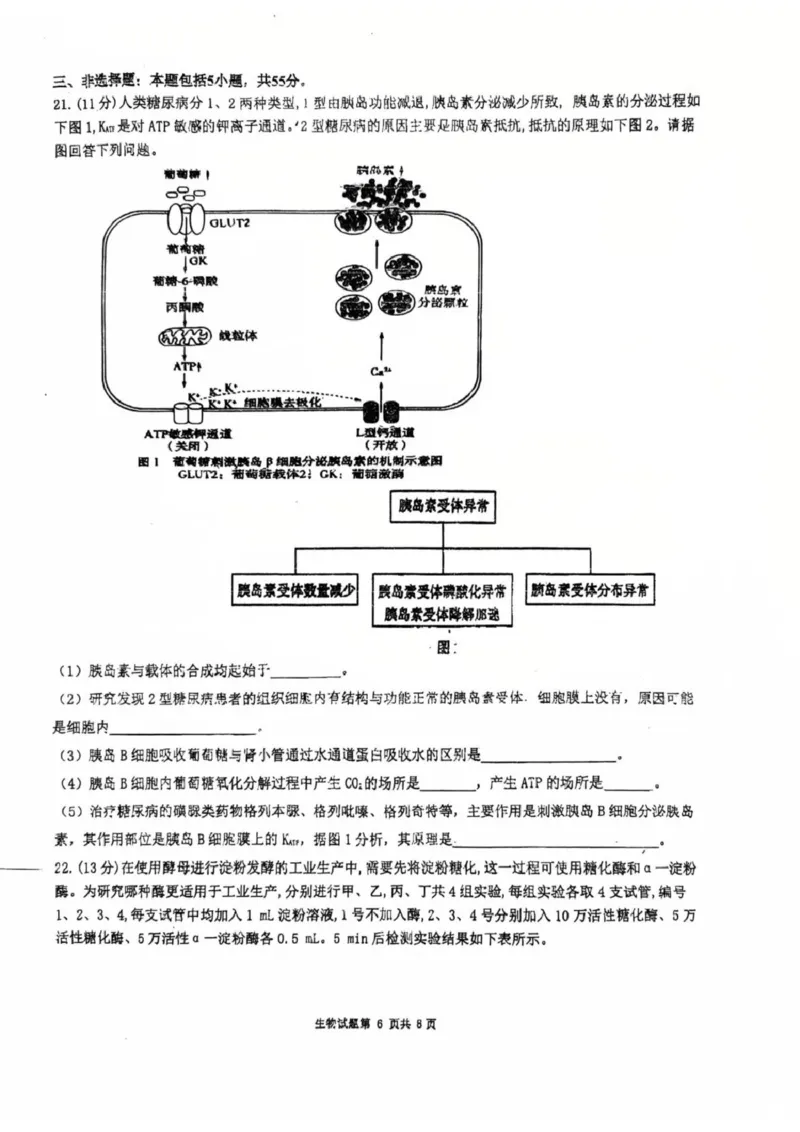 山东省莱州市第一中学2024-2025学年高二下学期期末全真训练测试生物PDF版含解析_2025年7月_250714山东省莱州市第一中学2024-2025学年高二下学期期末全真训练测试