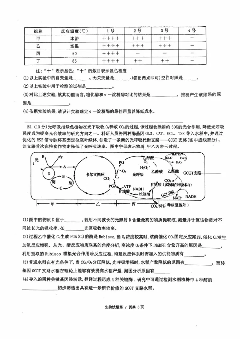 山东省莱州市第一中学2024-2025学年高二下学期期末全真训练测试生物PDF版含解析_2025年7月_250714山东省莱州市第一中学2024-2025学年高二下学期期末全真训练测试
