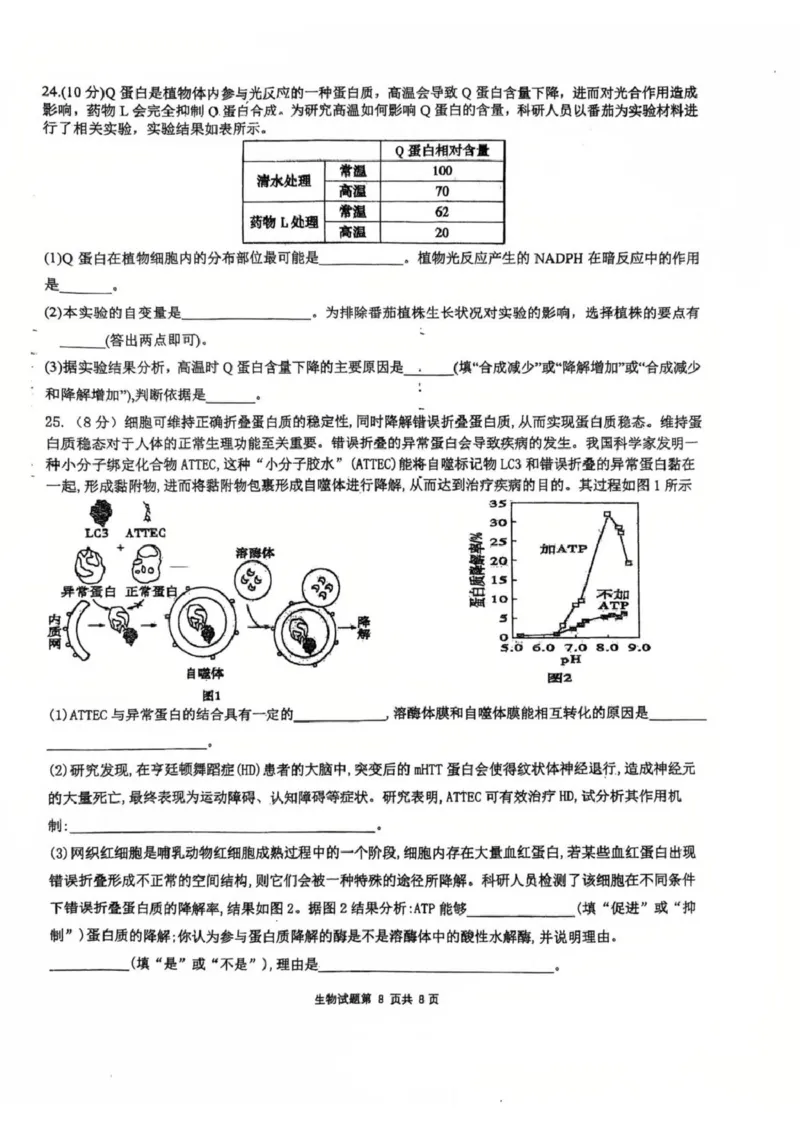 山东省莱州市第一中学2024-2025学年高二下学期期末全真训练测试生物PDF版含解析_2025年7月_250714山东省莱州市第一中学2024-2025学年高二下学期期末全真训练测试