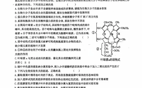 山东省莱州市第一中学2024-2025学年高二下学期期末全真训练测试生物PDF版含解析_2025年7月_250714山东省莱州市第一中学2024-2025学年高二下学期期末全真训练测试