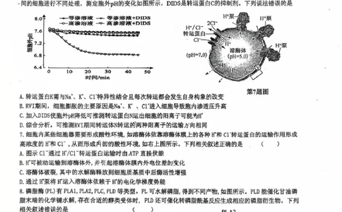 山东省莱州市第一中学2024-2025学年高二下学期期末全真训练测试生物PDF版含解析_2025年7月_250714山东省莱州市第一中学2024-2025学年高二下学期期末全真训练测试