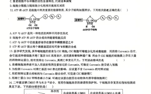 山东省莱州市第一中学2024-2025学年高二下学期期末全真训练测试生物PDF版含解析_2025年7月_250714山东省莱州市第一中学2024-2025学年高二下学期期末全真训练测试
