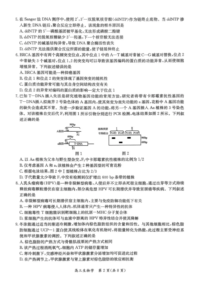 1_26届基地学校第一次大联考生物试卷_2025年12月_251229江苏省新高考基地学校2026届高三上学期第一次大联考（全科）