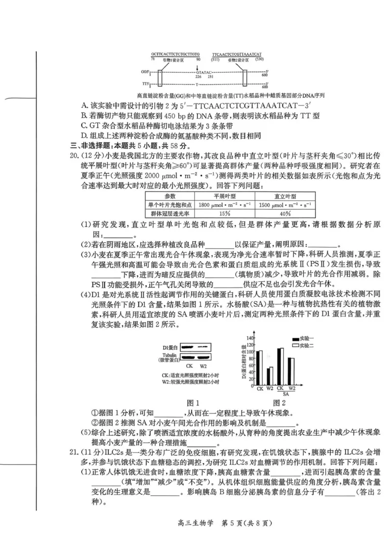 1_26届基地学校第一次大联考生物试卷_2025年12月_251229江苏省新高考基地学校2026届高三上学期第一次大联考（全科）