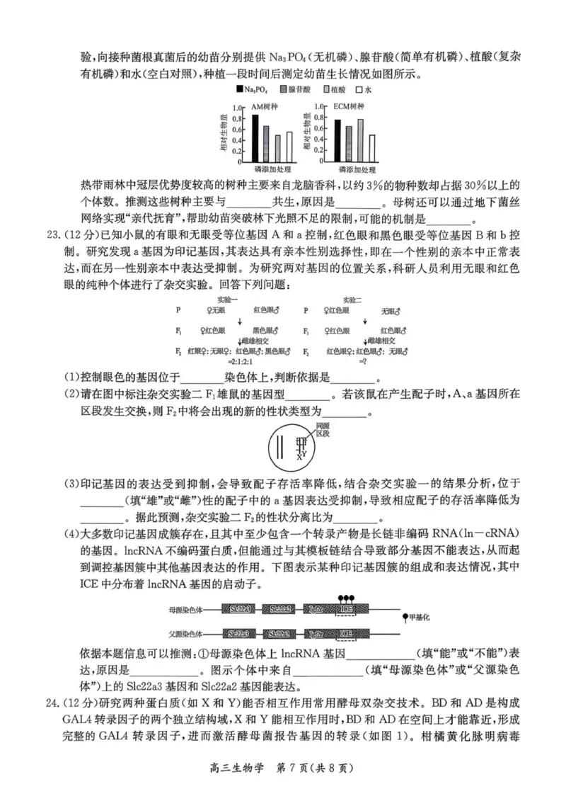 1_26届基地学校第一次大联考生物试卷_2025年12月_251229江苏省新高考基地学校2026届高三上学期第一次大联考（全科）