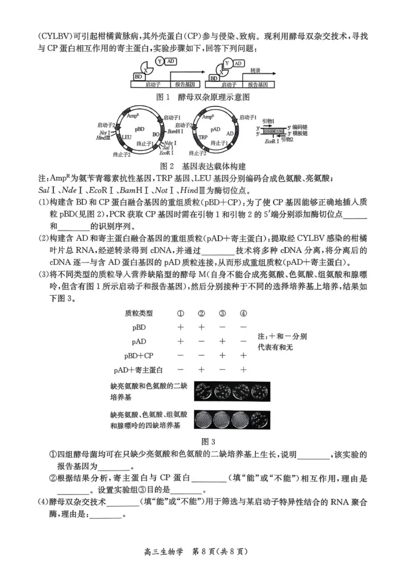 1_26届基地学校第一次大联考生物试卷_2025年12月_251229江苏省新高考基地学校2026届高三上学期第一次大联考（全科）