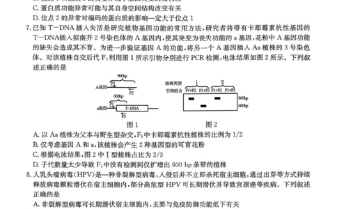 1_26届基地学校第一次大联考生物试卷_2025年12月_251229江苏省新高考基地学校2026届高三上学期第一次大联考（全科）