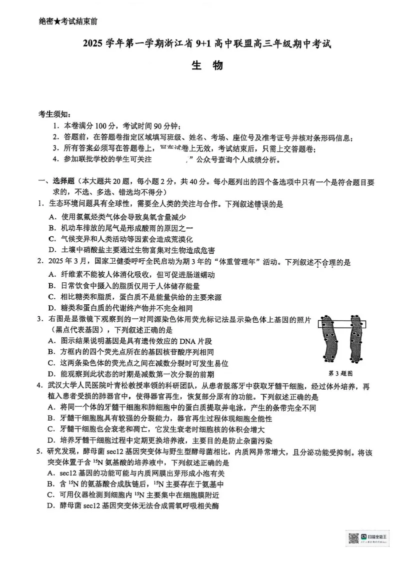 浙江省9+1高中联盟2026届高三上学期期中考试生物试卷（含答案）_251121浙江省9+1高中联盟2025-2026学年高三上学期期中考试（全科）
