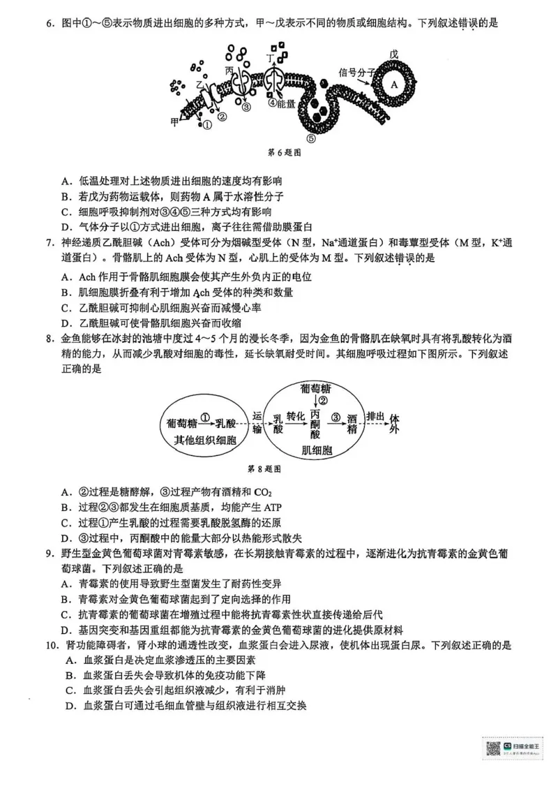 浙江省9+1高中联盟2026届高三上学期期中考试生物试卷（含答案）_251121浙江省9+1高中联盟2025-2026学年高三上学期期中考试（全科）