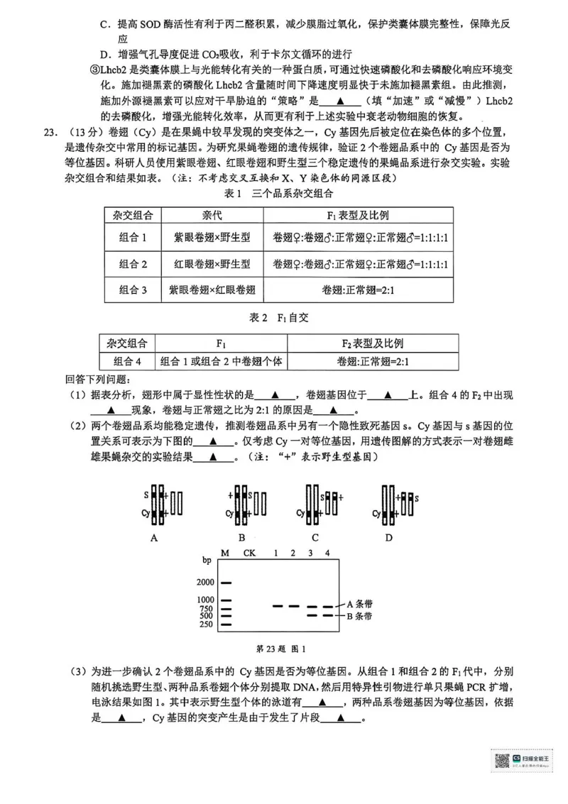 浙江省9+1高中联盟2026届高三上学期期中考试生物试卷（含答案）_251121浙江省9+1高中联盟2025-2026学年高三上学期期中考试（全科）