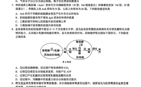 浙江省9+1高中联盟2026届高三上学期期中考试生物试卷（含答案）_251121浙江省9+1高中联盟2025-2026学年高三上学期期中考试（全科）