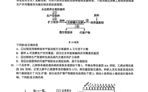 浙江省9+1高中联盟2026届高三上学期期中考试生物试卷（含答案）_251121浙江省9+1高中联盟2025-2026学年高三上学期期中考试（全科）