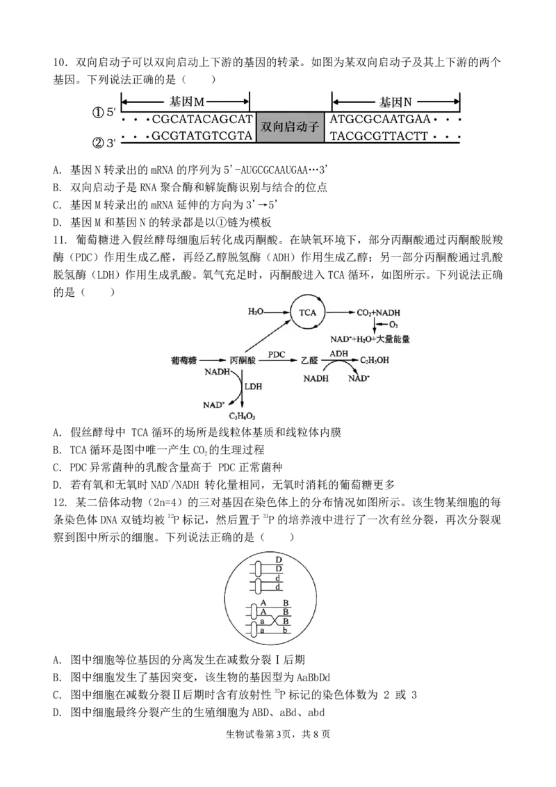 福建省福州第一中学2025-2026学年高三上学期11月期中生物试题（含答案）_251118福建省福州第一中学2025-2026学年高三上学期11月期中（全科）