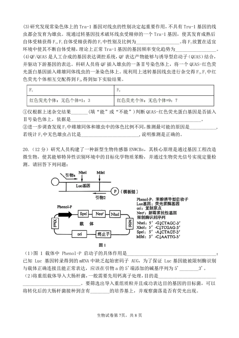 福建省福州第一中学2025-2026学年高三上学期11月期中生物试题（含答案）_251118福建省福州第一中学2025-2026学年高三上学期11月期中（全科）