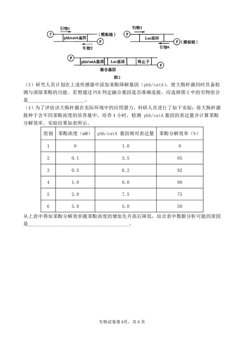 福建省福州第一中学2025-2026学年高三上学期11月期中生物试题（含答案）_251118福建省福州第一中学2025-2026学年高三上学期11月期中（全科）