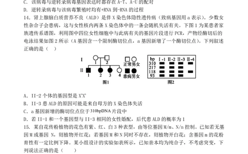 福建省福州第一中学2025-2026学年高三上学期11月期中生物试题（含答案）_251118福建省福州第一中学2025-2026学年高三上学期11月期中（全科）