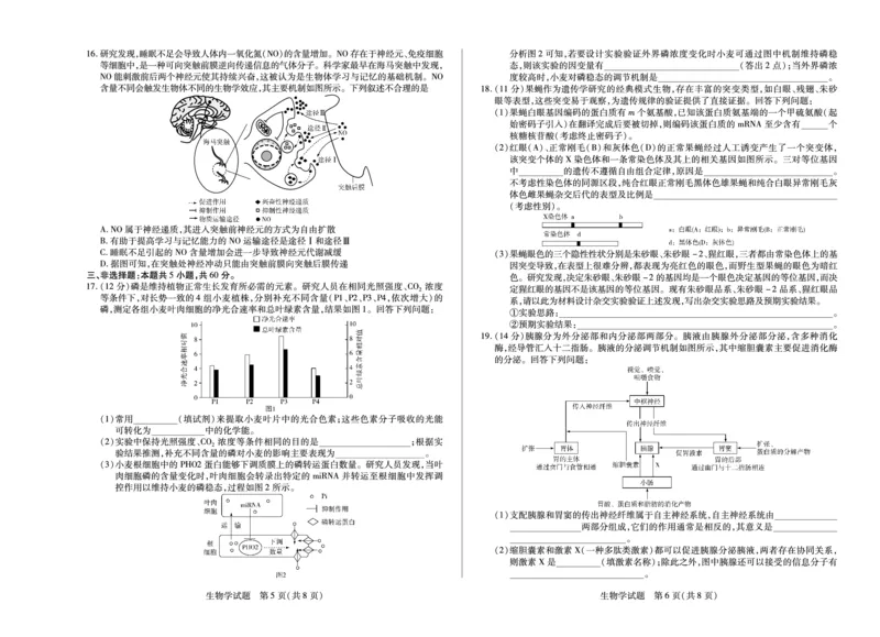 湖南省天一大联考2025届高三5月最后一卷-生物学高三单色_2025年6月_250603湖南省天一大联考2025届高三5月最后一卷（全科）_湖南省天一大联考2025届高三5月最后一卷-生物
