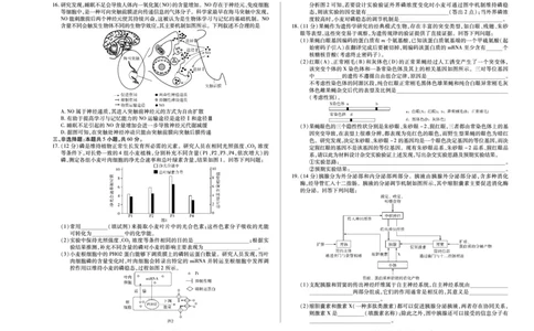 湖南省天一大联考2025届高三5月最后一卷-生物学高三单色_2025年6月_250603湖南省天一大联考2025届高三5月最后一卷（全科）_湖南省天一大联考2025届高三5月最后一卷-生物
