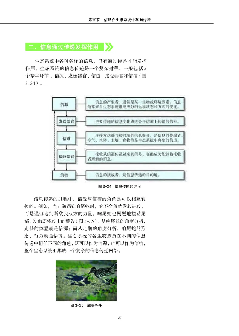 沪科教生物选修2高清教材_4-教培资料-26年最新资料-同步更新_初中高中教资_03科三专项（进去保存报考的学科即可）_02科三专项（笔记真题思维导图教学设计版本二）