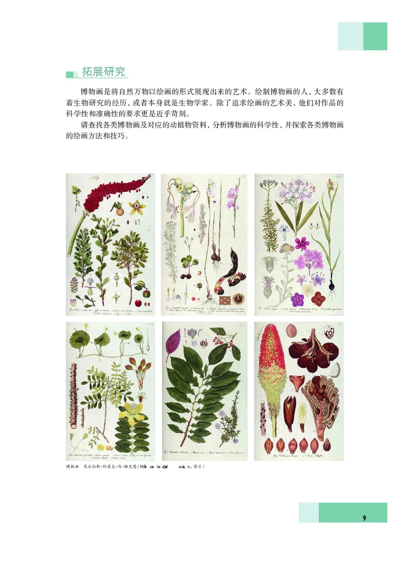 沪教版艺术必修3高清教材_4-教培资料-26年最新资料-同步更新_初中高中教资_03科三专项（进去保存报考的学科即可）_02科三专项（笔记真题思维导图教学设计版本二）