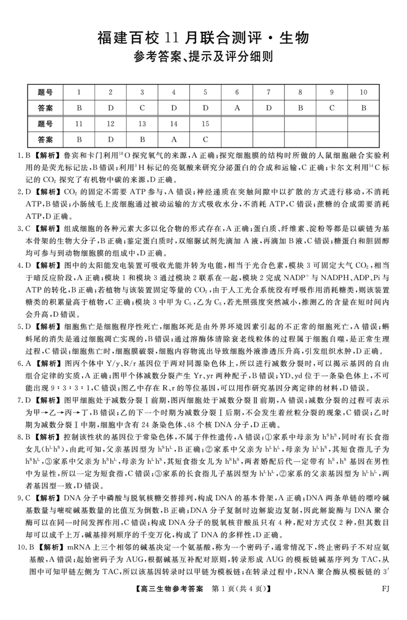 生物答案福建高三2025-2026学年百校11月联考_251115福建省百校联考高三2025-2026学年11月联考（全科）