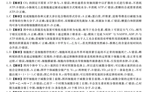 生物答案福建高三2025-2026学年百校11月联考_251115福建省百校联考高三2025-2026学年11月联考（全科）