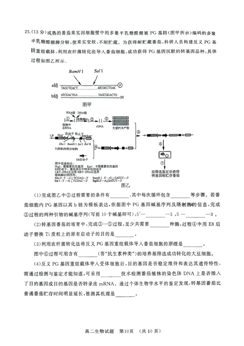 山东省济南市2024-2025学年高二下学期7月期末学习质量检测生物试卷（含答案）_2025年7月_250715​山东省2025年7月济南市高二期末学习质量检测（全科）