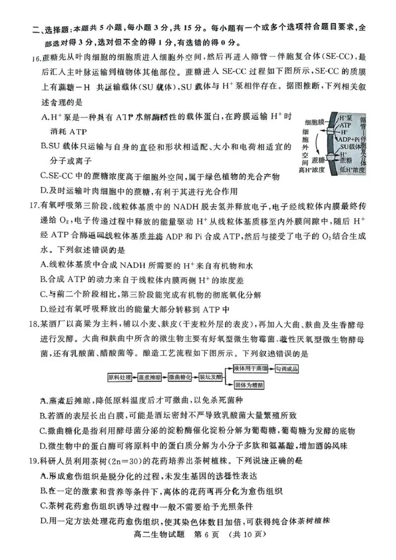山东省济南市2024-2025学年高二下学期7月期末学习质量检测生物试卷（含答案）_2025年7月_250715​山东省2025年7月济南市高二期末学习质量检测（全科）