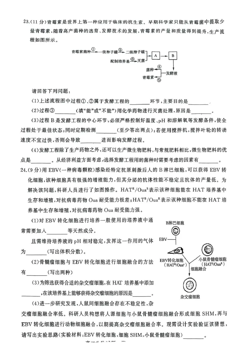 山东省济南市2024-2025学年高二下学期7月期末学习质量检测生物试卷（含答案）_2025年7月_250715​山东省2025年7月济南市高二期末学习质量检测（全科）