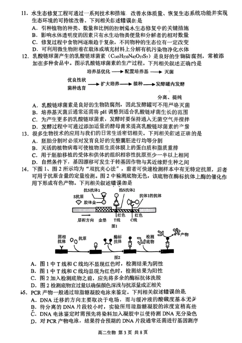 江苏省苏州市2024-2025学年高二下学期学业质量阳光指标调研生物试卷（含答案）_2025年6月_250626江苏省苏州市2024-2025学年高二下学期学业质量阳光指标调研（全科）