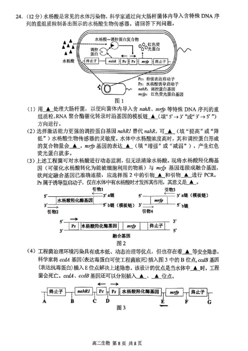 江苏省苏州市2024-2025学年高二下学期学业质量阳光指标调研生物试卷（含答案）_2025年6月_250626江苏省苏州市2024-2025学年高二下学期学业质量阳光指标调研（全科）