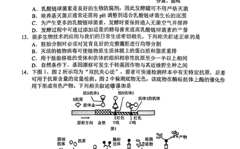 江苏省苏州市2024-2025学年高二下学期学业质量阳光指标调研生物试卷（含答案）_2025年6月_250626江苏省苏州市2024-2025学年高二下学期学业质量阳光指标调研（全科）
