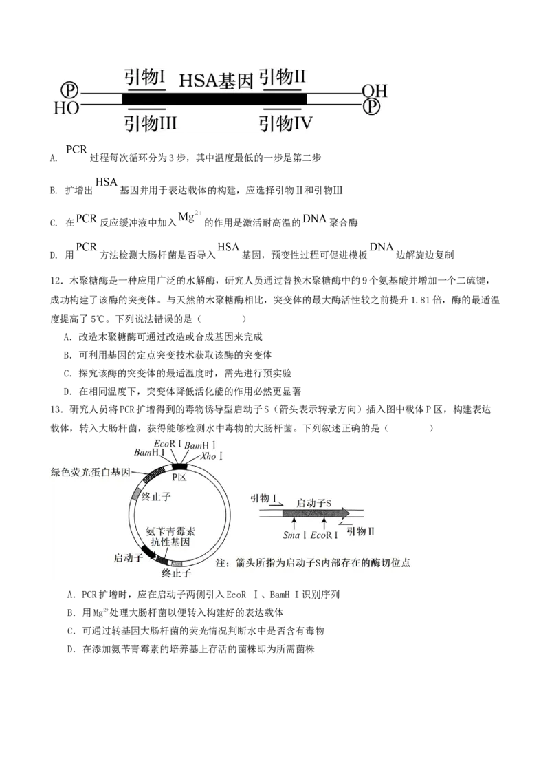石家庄市第一中学2026届高三上学期11月期中考试生物试卷_251114石家庄市第一中学2026届高三上学期11月期中考试试卷