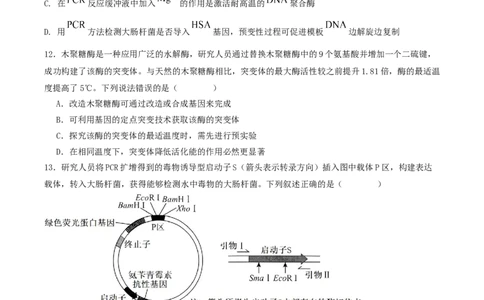 石家庄市第一中学2026届高三上学期11月期中考试生物试卷_251114石家庄市第一中学2026届高三上学期11月期中考试试卷