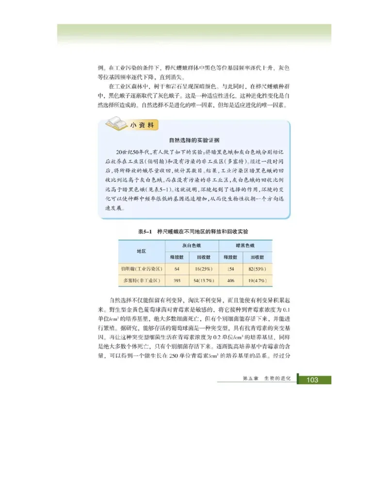 浙科版高中生物必修2《遗传与进化》电子课本_4-教培资料-26年最新资料-同步更新_初中高中教资_03科三专项（进去保存报考的学科即可）_112025高中科目（全）电子教材