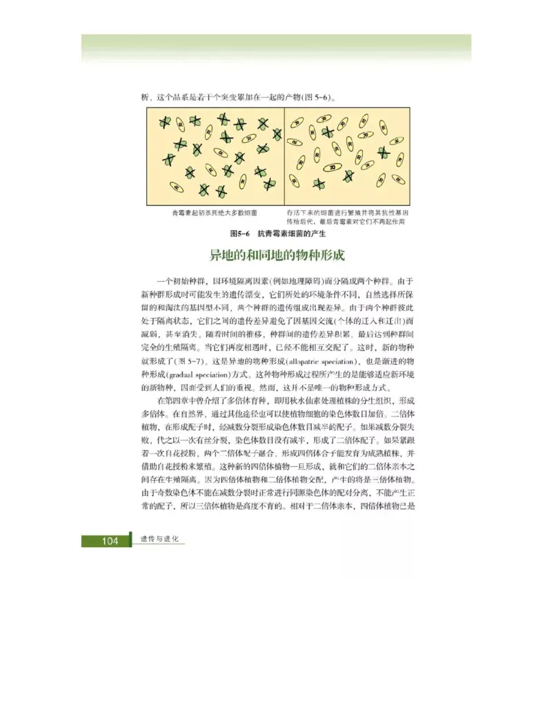 浙科版高中生物必修2《遗传与进化》电子课本_4-教培资料-26年最新资料-同步更新_初中高中教资_03科三专项（进去保存报考的学科即可）_112025高中科目（全）电子教材
