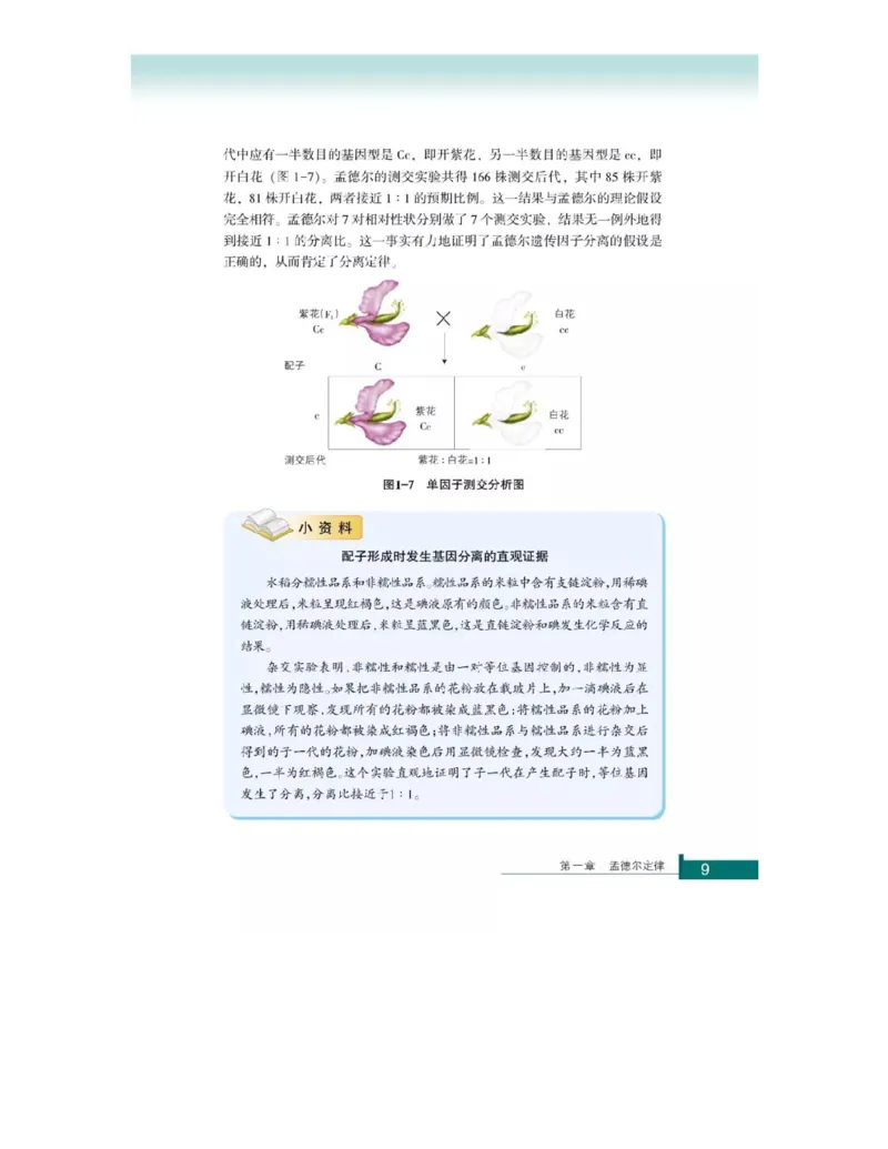 浙科版高中生物必修2《遗传与进化》电子课本_4-教培资料-26年最新资料-同步更新_初中高中教资_03科三专项（进去保存报考的学科即可）_112025高中科目（全）电子教材