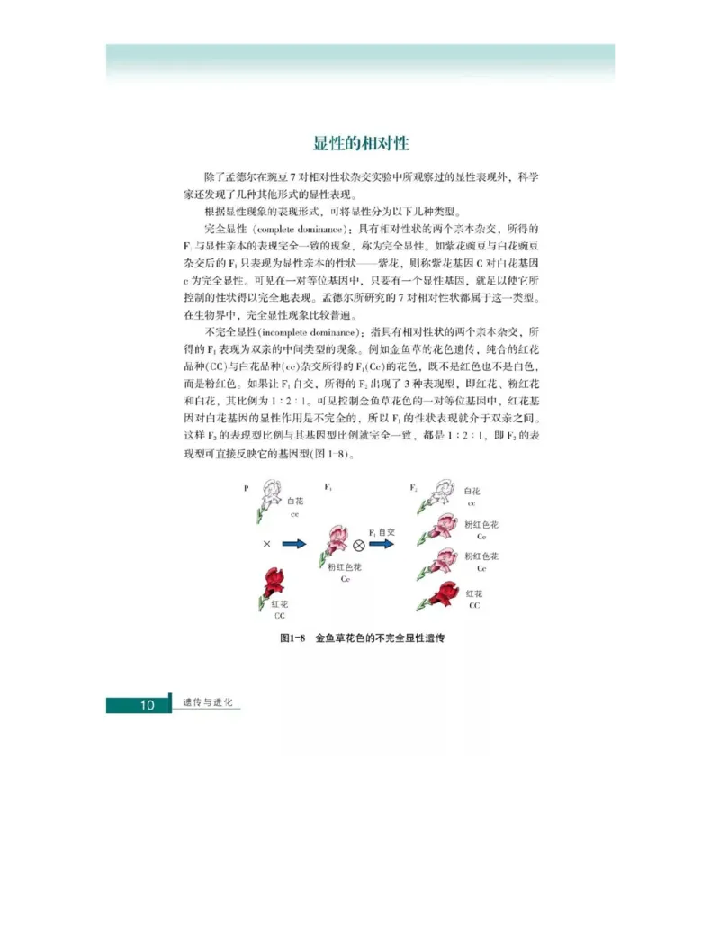 浙科版高中生物必修2《遗传与进化》电子课本_4-教培资料-26年最新资料-同步更新_初中高中教资_03科三专项（进去保存报考的学科即可）_112025高中科目（全）电子教材