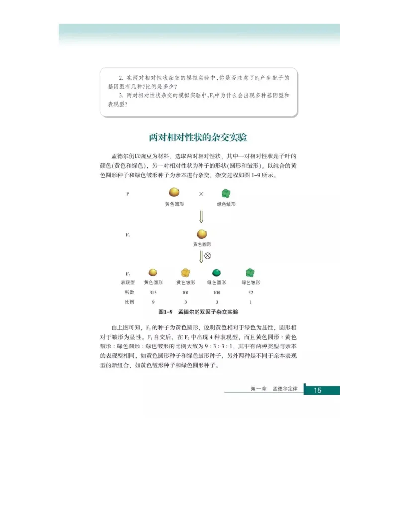 浙科版高中生物必修2《遗传与进化》电子课本_4-教培资料-26年最新资料-同步更新_初中高中教资_03科三专项（进去保存报考的学科即可）_112025高中科目（全）电子教材
