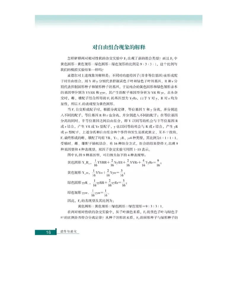 浙科版高中生物必修2《遗传与进化》电子课本_4-教培资料-26年最新资料-同步更新_初中高中教资_03科三专项（进去保存报考的学科即可）_112025高中科目（全）电子教材
