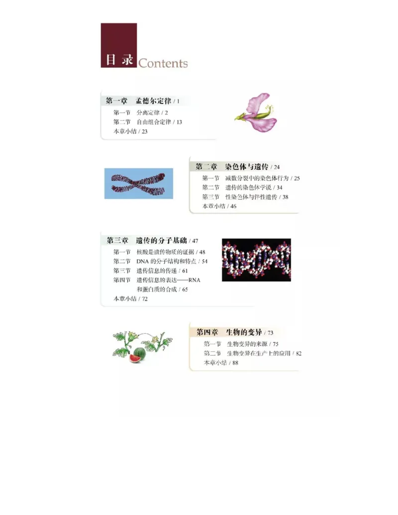 浙科版高中生物必修2《遗传与进化》电子课本_4-教培资料-26年最新资料-同步更新_初中高中教资_03科三专项（进去保存报考的学科即可）_112025高中科目（全）电子教材