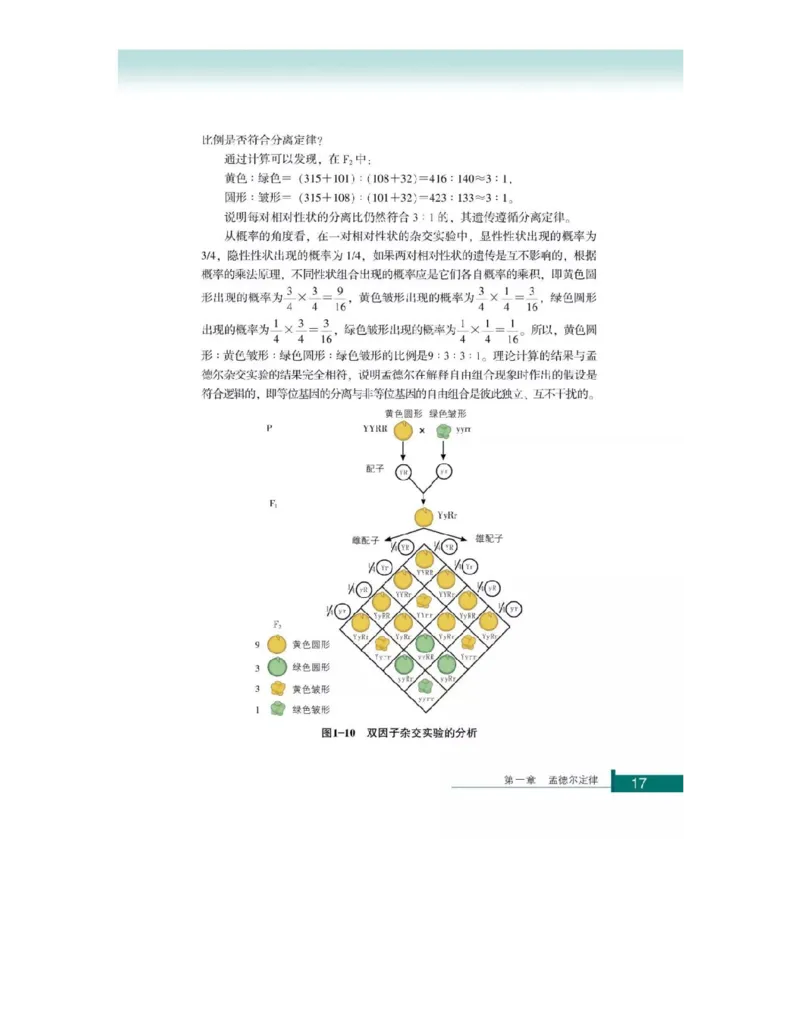 浙科版高中生物必修2《遗传与进化》电子课本_4-教培资料-26年最新资料-同步更新_初中高中教资_03科三专项（进去保存报考的学科即可）_112025高中科目（全）电子教材