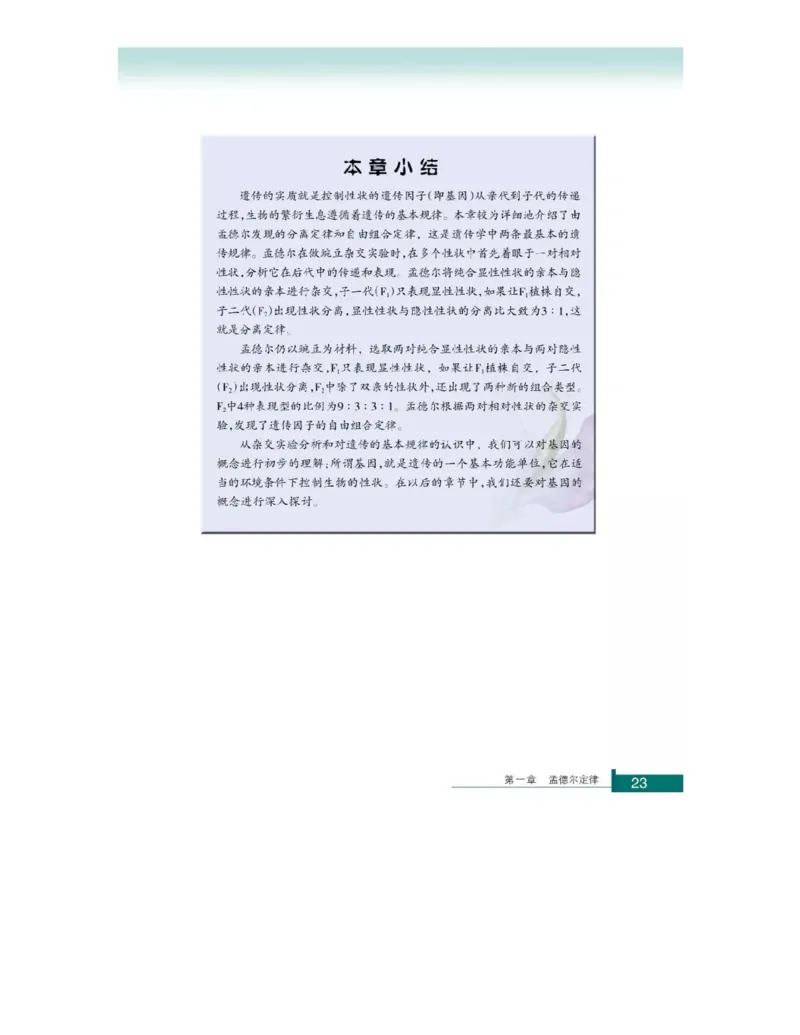 浙科版高中生物必修2《遗传与进化》电子课本_4-教培资料-26年最新资料-同步更新_初中高中教资_03科三专项（进去保存报考的学科即可）_112025高中科目（全）电子教材