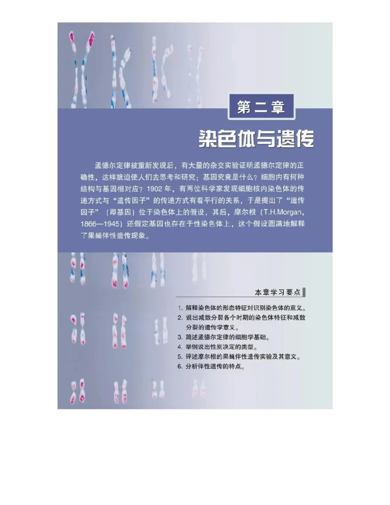 浙科版高中生物必修2《遗传与进化》电子课本_4-教培资料-26年最新资料-同步更新_初中高中教资_03科三专项（进去保存报考的学科即可）_112025高中科目（全）电子教材