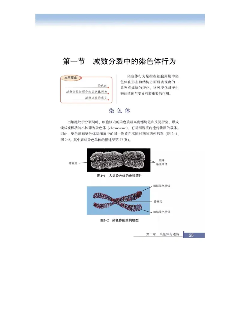 浙科版高中生物必修2《遗传与进化》电子课本_4-教培资料-26年最新资料-同步更新_初中高中教资_03科三专项（进去保存报考的学科即可）_112025高中科目（全）电子教材